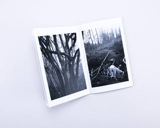 Stefan Vanthuyne / Chasing My Dog in the Woods