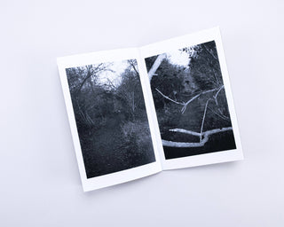 Stefan Vanthuyne / Chasing My Dog in the Woods