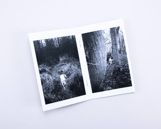 Stefan Vanthuyne / Chasing My Dog in the Woods