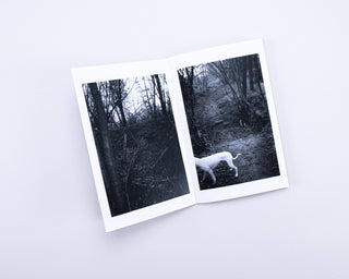 Stefan Vanthuyne / Chasing My Dog in the Woods