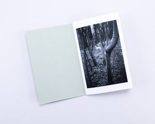 Stefan Vanthuyne / Chasing My Dog in the Woods