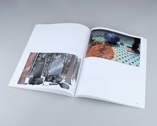 Antoinette Nausikaä / Breathing Mountains