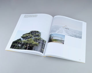 Antoinette Nausikaä / Breathing Mountains