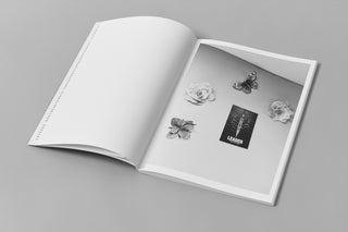 Edouard Jacquinet / Marguerites