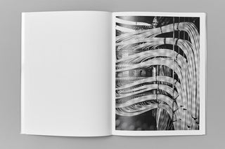 Edouard Jacquinet / Marguerites