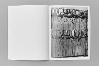 Edouard Jacquinet / Marguerites