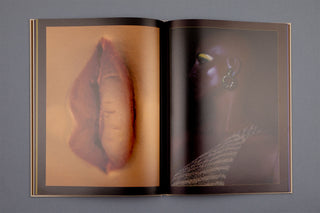 Carlijn Jacobs & James Chester / Mannequins