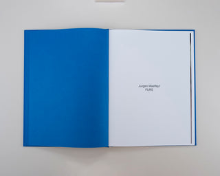 Jurgen Maelfeyt / FURS