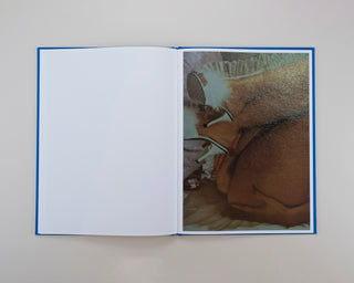 Jurgen Maelfeyt / FURS