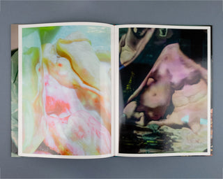 Lucile Boiron, Mise en Pièces / Special Edition