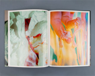 Lucile Boiron, Mise en Pièces / Special Edition