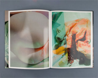 Lucile Boiron, Mise en Pièces / Special Edition