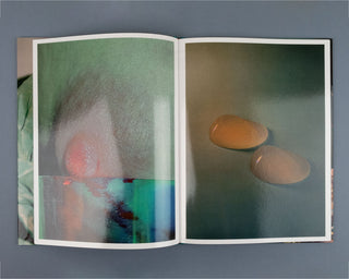 Lucile Boiron, Mise en Pièces / Special Edition