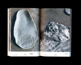 MVSC04 / Francesca Torzo