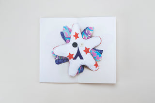 Kristof Van Gestel / Mascottegalerij, Mascot Gallery