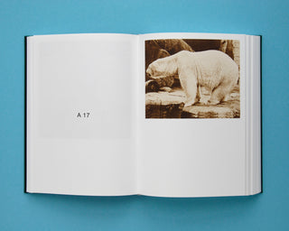 Nude Animal Cigar Paul Kooiker ポール・コイカー Paul Kooiker - Nude Animal Cigar: Paul Kooiker