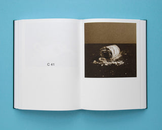 Paul Kooiker / NUDE ANIMAL CIGAR