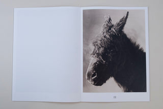 Paul Kooiker / The Rumour