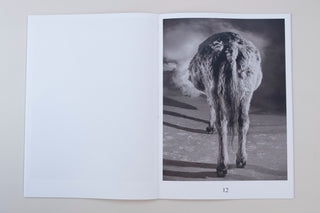 Paul Kooiker / The Rumour