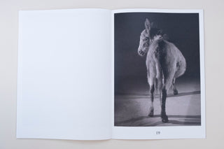 Paul Kooiker / The Rumour