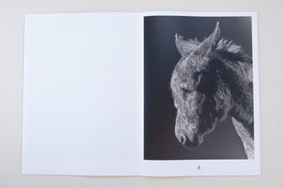 Paul Kooiker / The Rumour