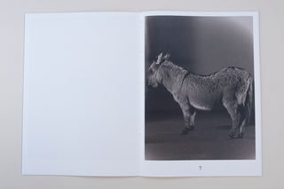 Paul Kooiker / The Rumour