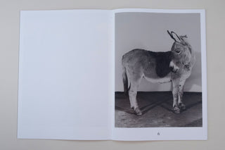 Paul Kooiker / The Rumour