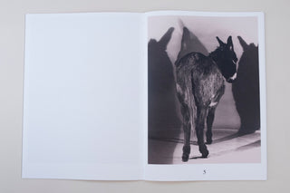 Paul Kooiker / The Rumour