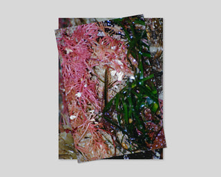 Rebekka Deubner, tempête après tempête / Special Edition