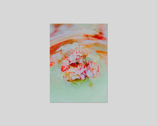 Lucile Boiron, Mise en Pièces / Special Edition