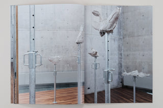 Stief DeSmet / Paradise, Prototypes & Other Deconstructions