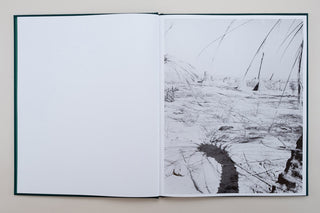 Sybren Vanoverberghe / Conference of The Birds