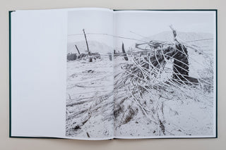 Sybren Vanoverberghe / Conference of The Birds