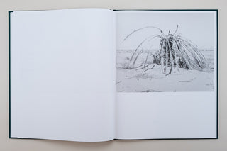 Sybren Vanoverberghe / Conference of The Birds