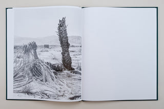 Sybren Vanoverberghe / Conference of The Birds