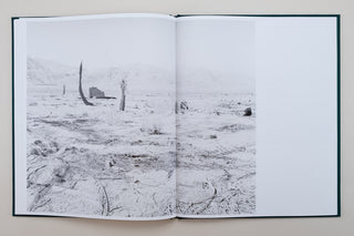 Sybren Vanoverberghe / Conference of The Birds