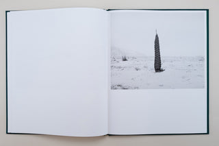 Sybren Vanoverberghe / Conference of The Birds