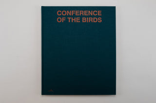 Sybren Vanoverberghe / Conference of The Birds