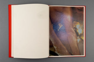 Jurgen Maelfeyt / WET