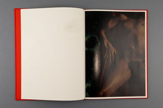 Jurgen Maelfeyt / WET