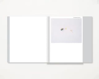 Philippe Braquenier / Palimpsest