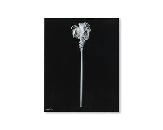 Bruno Roels / A Few Model Palm Trees