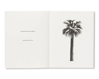 Bruno Roels / A Few Model Palm Trees