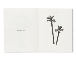 Bruno Roels / A Few Model Palm Trees