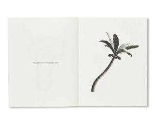 Bruno Roels / A Few Model Palm Trees