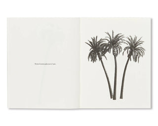 Bruno Roels / A Few Model Palm Trees