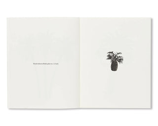 Bruno Roels / A Few Model Palm Trees