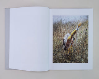 COUNTING TILL TEN by Isabelle Wenzel – twelvebooks
