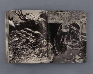 Katie Burnett / Cabin Fever