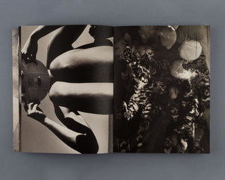 Katie Burnett / Cabin Fever